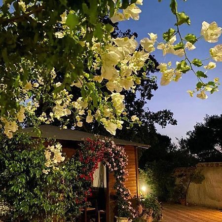 B&B Il Girasole Сант'Анна-Аррезі Екстер'єр фото