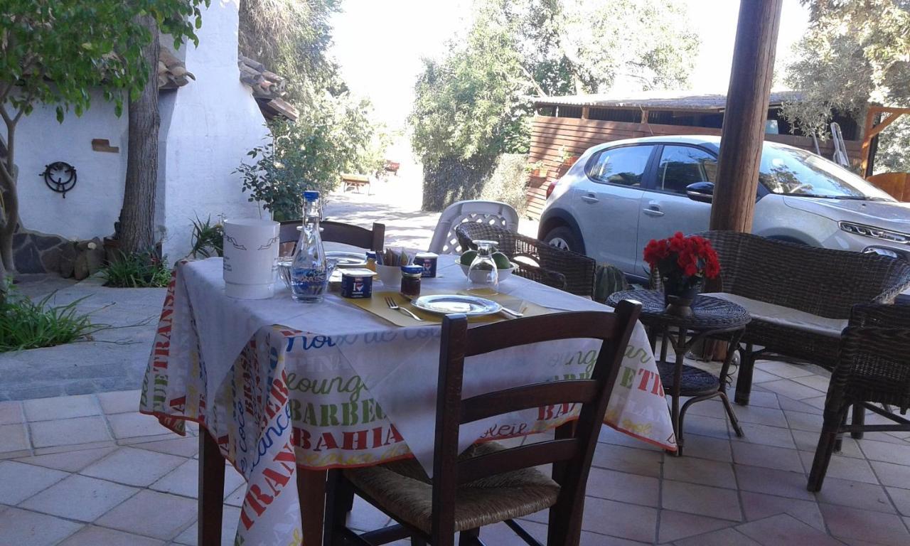 B&B Il Girasole Сант'Анна-Аррезі Екстер'єр фото